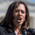Border Czar Kamala Harris Demands An Investigation Into What’s Going On At The Border