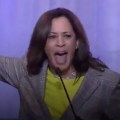 Race-Baiting Demagogue Kamala Harris Has A Problem Over ONE Campaign Donation