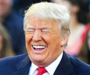 Trump’s Reaction To DeSantis 2024 Twitter Fiasco Is Too Funny