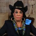 Crazy Cowgirl Frederica Wilson Says It Should Be Illegal To Make Fun Of Congress