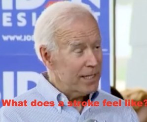 LMFAO! Special Counsel Determines Joe Biden Has Freeze-Dried Giblets For Brains