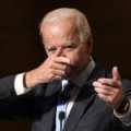 Obiden Regime Again Seeking to Ban Assault (ArmaLite) Weapons Before New Congress