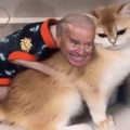 Biden To Get Some More Pussy Against Its Will