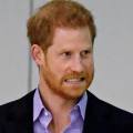 Prince Harry Says 1st Amendment Freedom Of Speech Is ‘Bonkers’