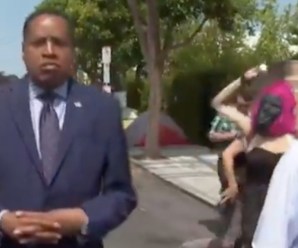 Gorilla Mask-Wearing Liberal Racist Attacks Larry Elder In Los Angeles