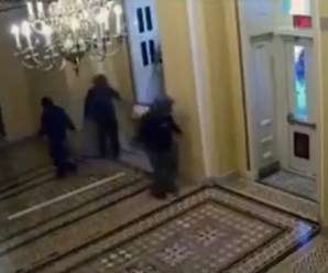 Democrats Lose Their Sh*t Over Kevin McCarthy Giving Tucker Carlson All Of The J6 Footage