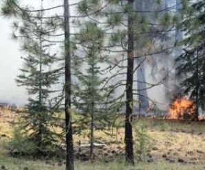 Former College Professor Charged With Arson Spree