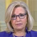 FEDERALIST: Liz Cheney fabricated evidence against Trump, claiming he did not act when he DID