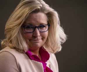 Liz Chaney from beyond the grave makes her RINO intensions clear.