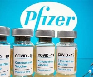 Prediction: Fauci’s Life Is About to be Turned Upside Down—Elon Musk Retweets Robert Kennedy, Jr.’s Tweet