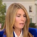 MSNBC’s Nicolle Wallace Wants To Know Why There Aren’t More Laws Making Illegal Guns Illegal