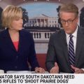 MSNBC: AR-15 More Powerful Than M-16 And Can Disintegrate A Prairie Dog