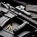 AR-15s Are Popular AND They Will Be the Best Firearm During a ‘Breakdown of Society’