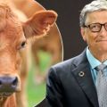 Congressman Reveals Disturbing Reason Why Bill Gates Is Buying Up American Farmland