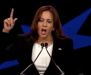 Kamala Harris Wants Australian-Style Gun Control For America