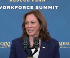 Kamala Harris Explains How 9.1% Inflation Isn’t Bad News