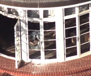 Does The Attack On Nancy Pelosi’s Husband Seem Suspicious To Anyone?