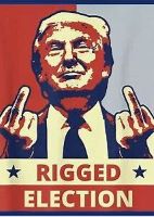 Using INNOVATION to Combat Election Fraud: Wisconsin Investigators Discover Illegal Aliens Are Flooding the Voter Rolls in Swing States