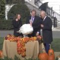 Joe Biden ‘Jokes’ About Voter Fraud During Turkey Pardoning Ceremony