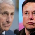 Elon Musk: ‘My Pronouns Are Prosecute/Fauci’