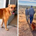 Rescuers Fail To Find Man Lost In Desert—His Dog Provides Needed Help