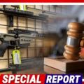 Federal Court Makes Constitutional Ruling—It Just Struck Down 2nd Amendment Ban on Bump Stocks