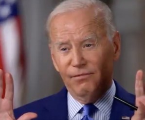 Conservatives Gotta Appreciate ’em—The Defeatist Left—New Hampshire Has Shown They Do Not Like Biden, But They Cannot Quit Him