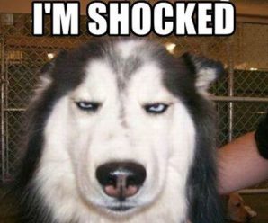 Myth Busted: Most Mass Shooters Aren’t White Supremacists With AR-15s