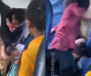 NY Times Uninterested in Story of 9-Yr-Old Girl Getting Savagely Beaten on School Bus by Two Black Males
