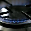 Chefs and Restaurateurs Win Big as Trump-Appointed Judge Leads Unanimous Panel in Overturning Gas Stove Ban