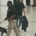 TSA Canine Handler Removed from Duties After Viral Video Showed What He Was Doing to Dog