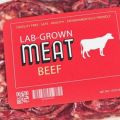 Global Food-Processing Giant Announces World’s Largest Lab-Grown Meat Facility to be Built in 2024