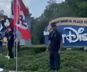 The Left Deploys Fake Nazis To Destroy DeSantis