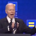 Joe Biden Claims To Be Gay And Wonders ‘Who In God’s Name Needs 100 Rounds In The Chamber’
