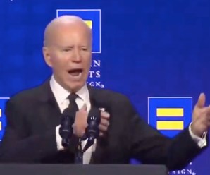 Joe Biden Claims To Be Gay And Wonders ?Who In God?s Name Needs 100 Rounds In The Chamber?