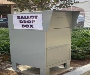 Congress Must Act to Stop Noncitizens from Voting