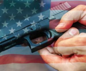Thirteen Misconceptions/Misunderstandings About Second Amendment Firearm Ownership