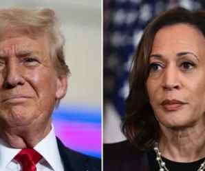 Comrade Kamala Gets Reality Check—May Have Recited Memorized Responses Well but Gained No New Votes (Video)