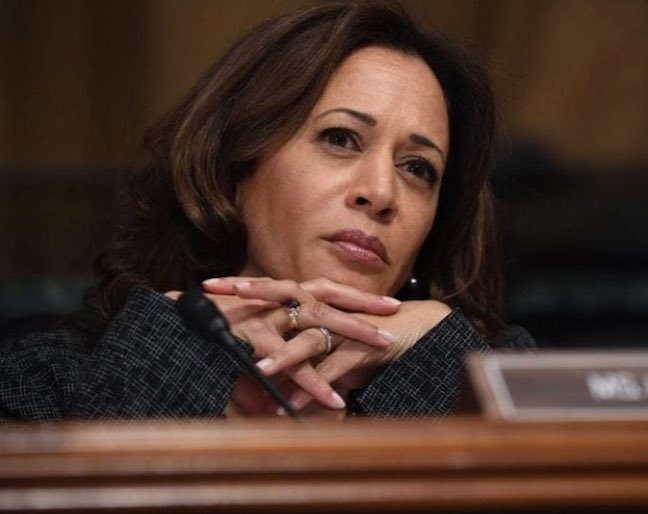 It’s Over. Black Activists Have Yanked Kamala Harris’ ‘Black Card ...